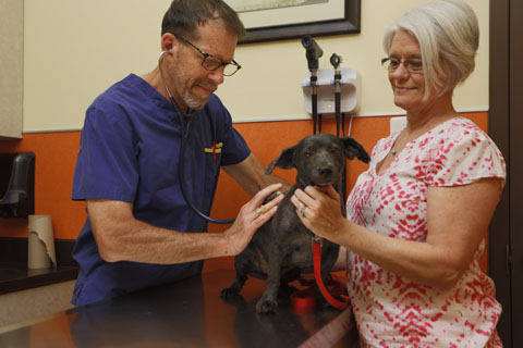 Baltimore Animal Hospital And Veterinarian | The Village Vet :: Meet Our  Team