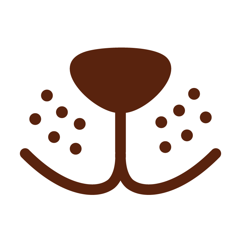 The Village Vet Mark